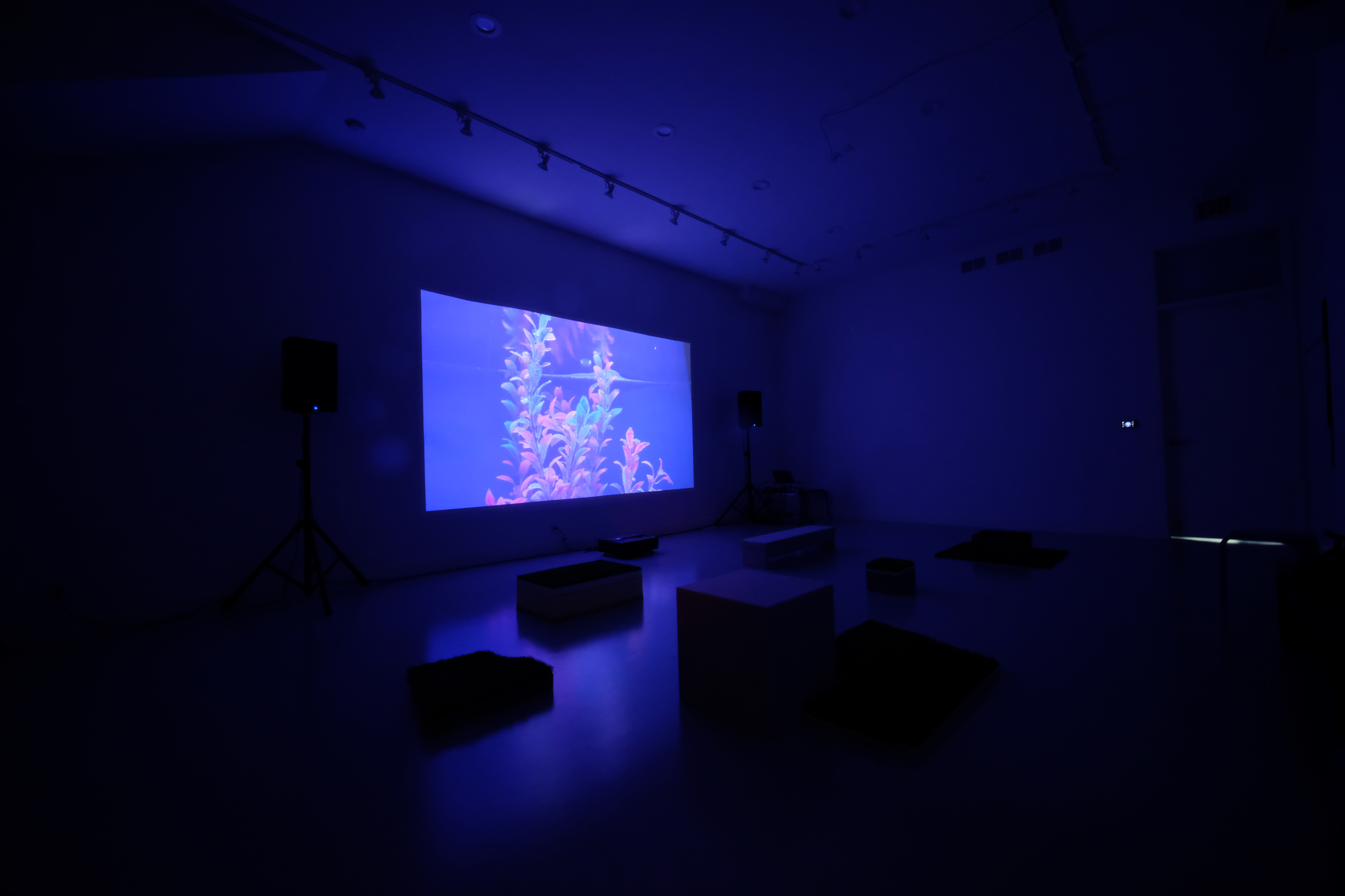 <i>sleep noises</i>, 2020. Swenson/Ihns.