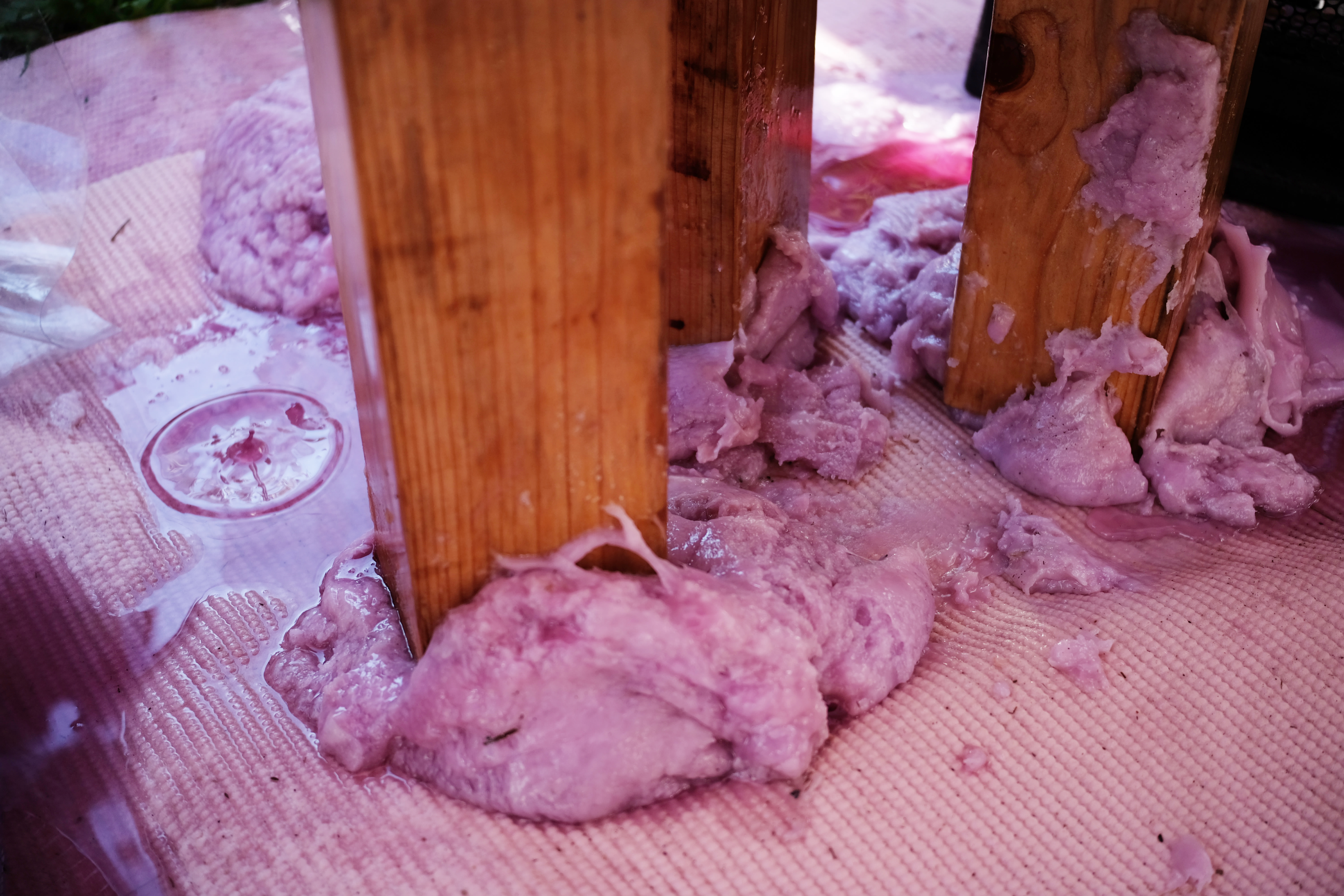 <i>Untitled installation (slippery wax feels)</i>, 2025. TAITAI +/-/x/÷Tina